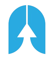 SkyLink Logo